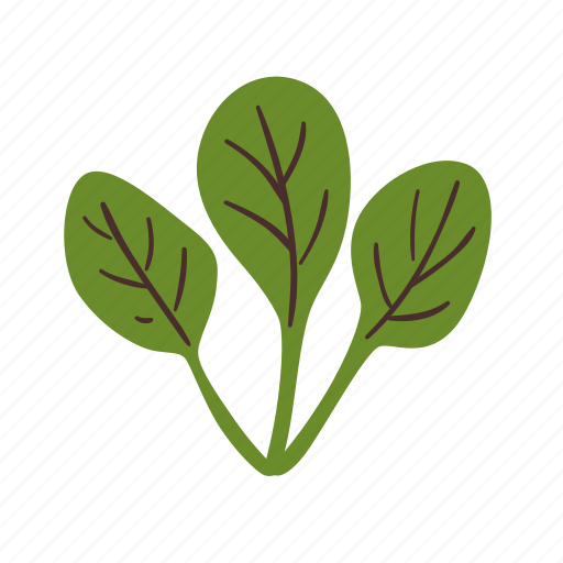 Spinach, food, vegetable, cooking, ingredient icon - Download on Iconfinder