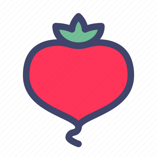 Fruit, vegetable, organic, radish icon - Download on Iconfinder