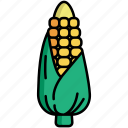 corn, vegetable, food, maize