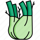 fennel, vegetable, food, healthy