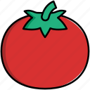 tomato, vegetable, food, organic