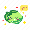 green cabbage, lettuce, vegetable, vegetarian, food, fresh, farming, organic, cute sticker