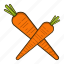 carrot, food, kitchen, vegetable 