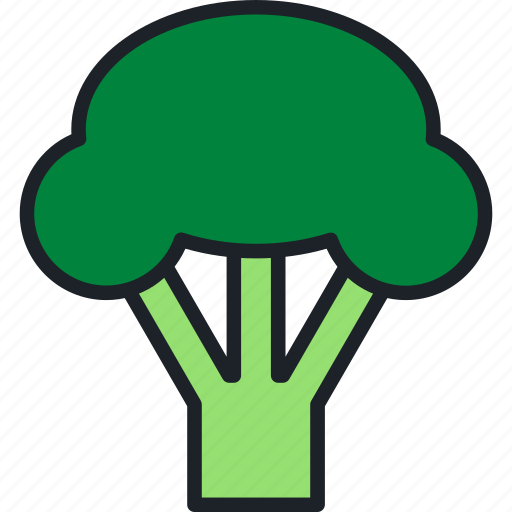 Broccoli, food, vegetable, healthy, organic icon - Download on Iconfinder