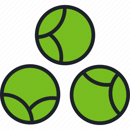 Vegetable, food, healthy, brussels sprouts, cabbage, diet, brussels icon - Download on Iconfinder