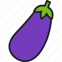 eggplant, food, vegetable, healthy, aubergine, organic