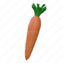carrot, food, fresh, vegetable, vegetarian, healthy 