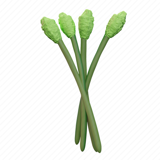 Asparagus, food, fresh, vegetable, vegetarian, healthy 3D illustration - Download on Iconfinder