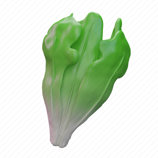 Letuce, food, fresh, vegetable, vegetarian, healthy 3D illustration - Download on Iconfinder