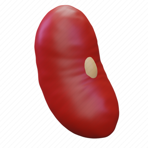 Red, bean, food, fresh, vegetable, vegetarian, healthy 3D illustration - Download on Iconfinder