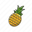 pineapple, food, organic, fruit, fruits, fresh, healthy, plant, pineaples
