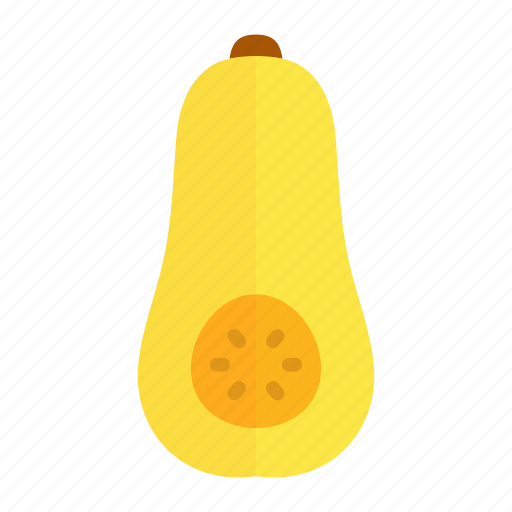 Butternut, colour, food, health, squash, vegetable, yellow icon - Download on Iconfinder