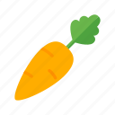 carrot, colour, food, garden, green, orange, vegetable 