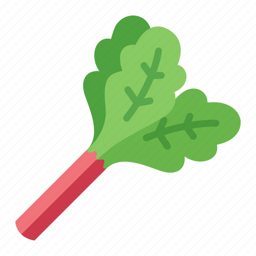 Colour, food, green, health, rhubarb, tart, vegetable icon - Download on Iconfinder