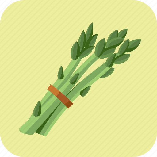 Asparagus, diet, food, meal, nutrition, vegetable, vegetarian icon - Download on Iconfinder