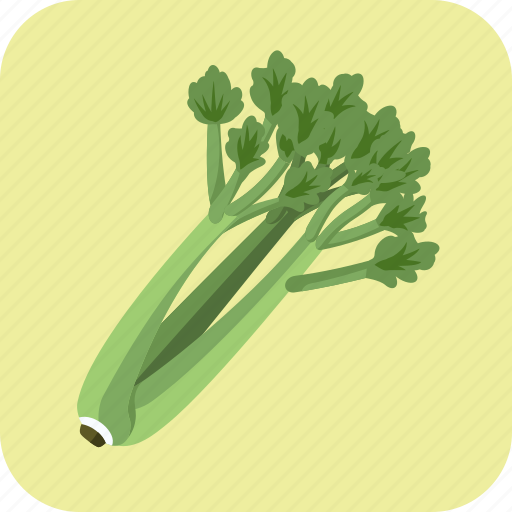 Celery, diet, food, fresh, meal, nutrition, vegetable icon - Download on Iconfinder