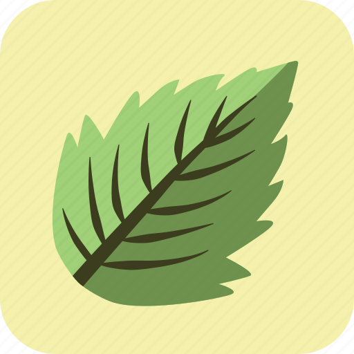 Food, leaf, meal, mint, spice, tasty, vegetable icon - Download on Iconfinder