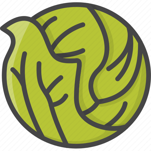 Cabbage, filled, food, outline, vegetable, vegetables icon - Download on Iconfinder