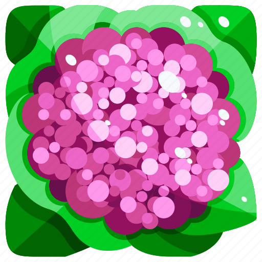 Cauliflower, food, healthy, purple, vegetables icon - Download on Iconfinder