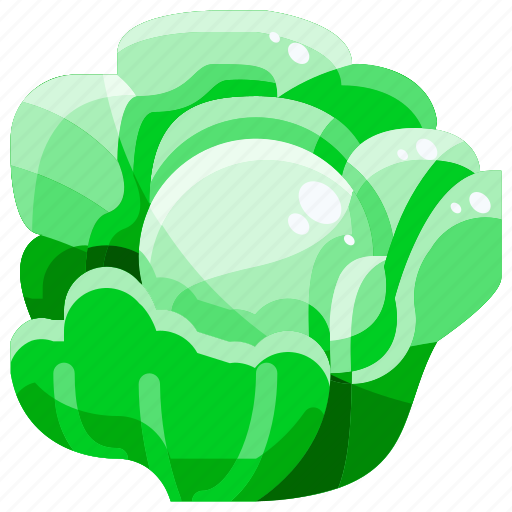Cabbage, food, healthy, vegetables icon - Download on Iconfinder