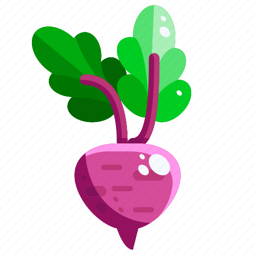 Food, healthy, radish, vegetables icon - Download on Iconfinder