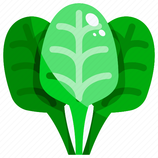 Food, healthy, spinach, vegetables icon - Download on Iconfinder