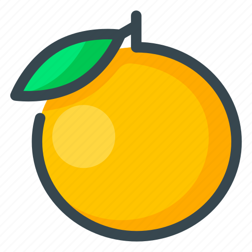 Food, fruits, orange icon - Download on Iconfinder