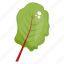 organic leaf, spinach, spinach leaf, vegetable, vegetable leaf 