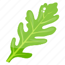 lettuce, lettuce leaf, organic leaf, vegetable, vegetable leaf 