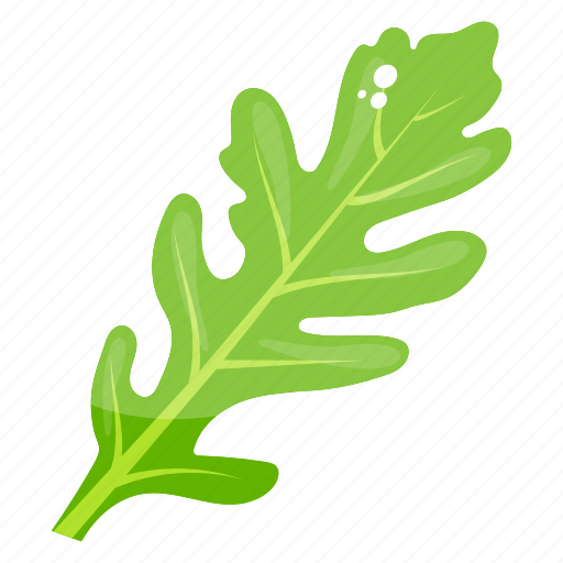 Lettuce, lettuce leaf, organic leaf, vegetable, vegetable leaf icon - Download on Iconfinder