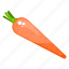 carrot, food, organic carrot, root vegetable, vegetable 