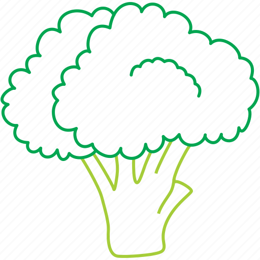 Broccoli, green flower, organic, vegetables, food, nature icon - Download on Iconfinder