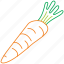 carrot, carrots, organic, vegetable, food, kitchen 