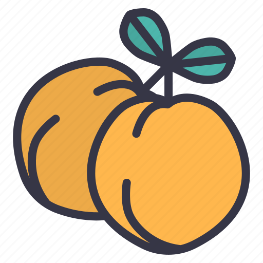 Seasonal, vegetables, fruits, food, apricot, peach icon - Download on Iconfinder