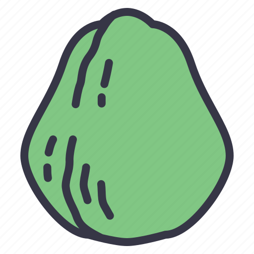Seasonal, vegetables, fruits, food, chayote, squash, plants icon - Download on Iconfinder