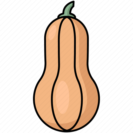 Butternut, squash, vegetable, pumpkin icon - Download on Iconfinder