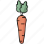 carrot, carrots, vegetable, food 