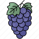 grape, wine, grapes, fruit