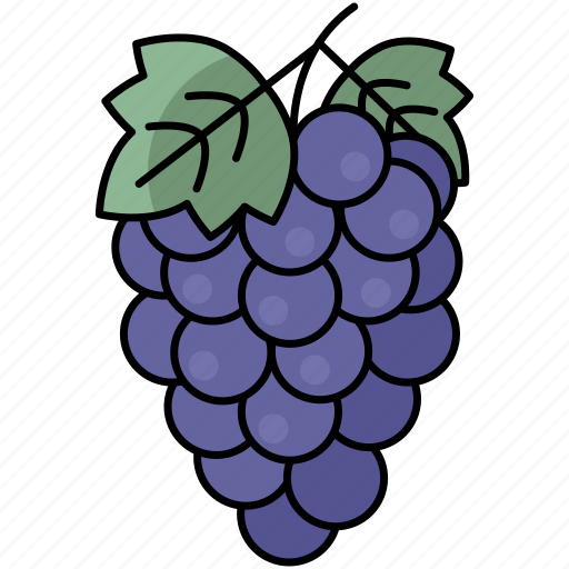 Grape, wine, grapes, fruit icon - Download on Iconfinder