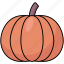pumpkin, vegetable, halloween, spooky 