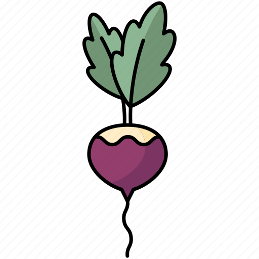 Radish, vegetable, healthy, organic icon - Download on Iconfinder