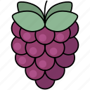 raspberry, berry, berries, healthy