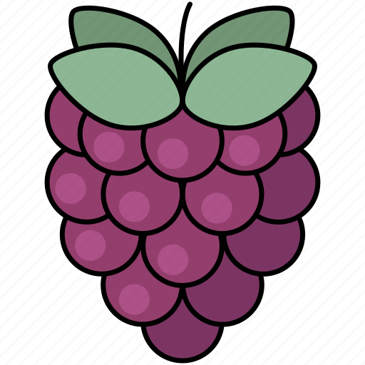 Raspberry, berry, berries, healthy icon - Download on Iconfinder