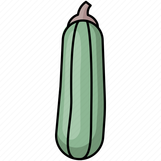 Zucchini, healthy, squash, vegetable icon - Download on Iconfinder