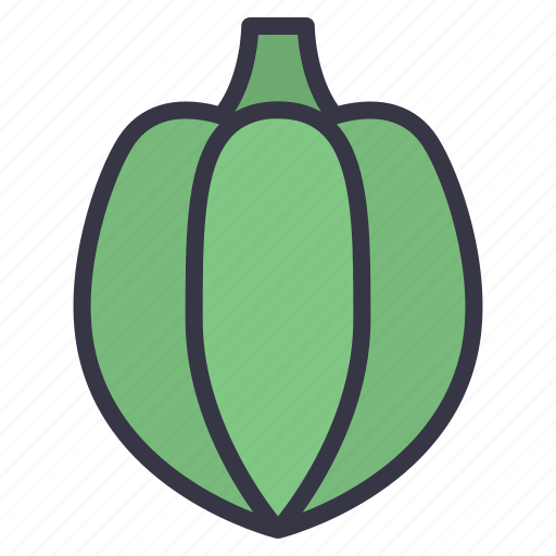 Fall, seasonal, food, vegetables, fruits, pepper, squash icon - Download on Iconfinder
