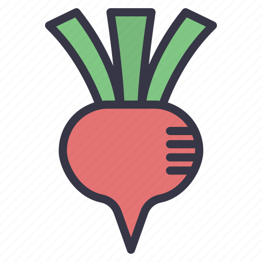 Fall, seasonal, food, vegetables, fruits, beets, roots icon - Download on Iconfinder