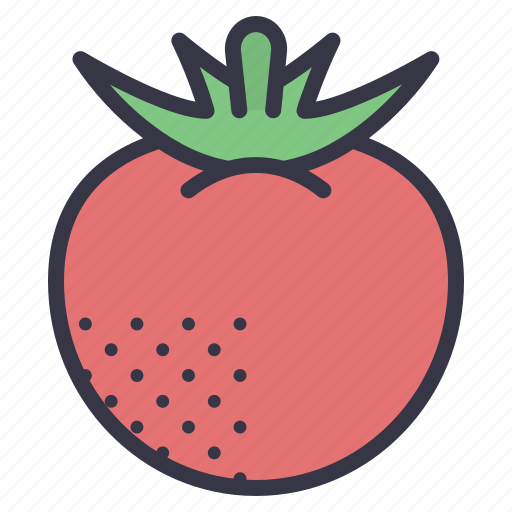 Fall, seasonal, food, vegetables, fruits, tomato, berry icon - Download on Iconfinder