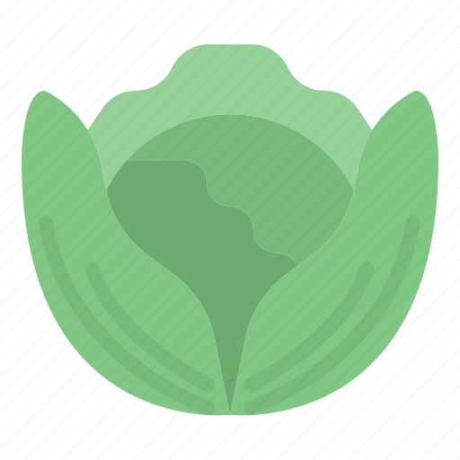 Seasonal, food, vegetables, cabbage, lettuce, leaf icon - Download on Iconfinder