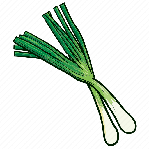Leeks, vegetable, food, cooking, kitchen, restaurant icon - Download on Iconfinder