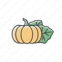 halloween, harvest, ingredient, october, product, pumpkin, vegetable